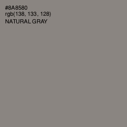 #8A8580 - Natural Gray Color Image